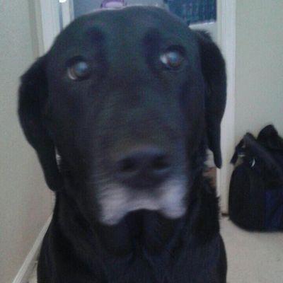 maddisonmorr's profile picture. pretty is not what ur boyfriend should like about u its ur personality