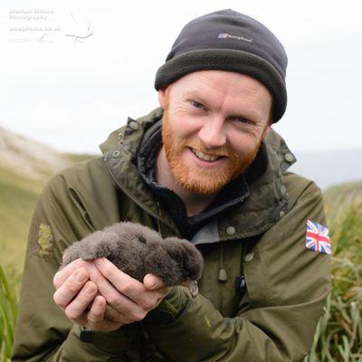 Seabirds, uplands, photography & drone pilot. 4 years in South Georgia with penguins, seals, albatross & petrels, now protecting uplands & monitoring penguins.