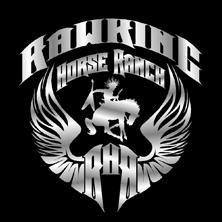 RawkingHorse's profile picture. SF East Bay’s Premier Venue: Cowboy Dressage, Doma Vaquera, Horsemanship Clinics, Trail Riding, Hunters/Jumper, Home of RWK Morgans & East Bay Punk Rock Riders