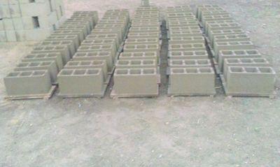 BloquerLBDCDios's profile picture. 