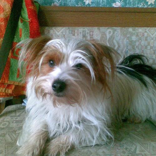 JulieInge1's profile picture. 