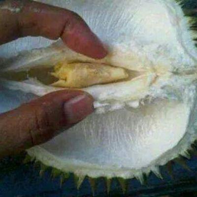 dadangsvara's profile picture. 