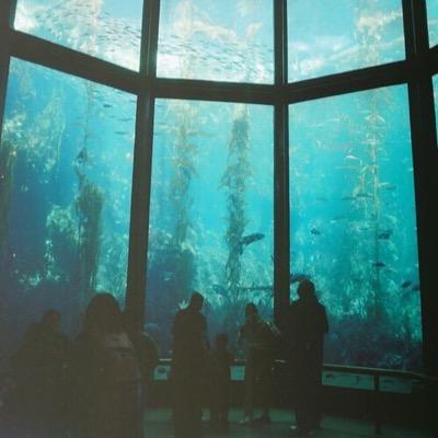 DM me photos of your aquarium for me to tweet! following everyone back!
