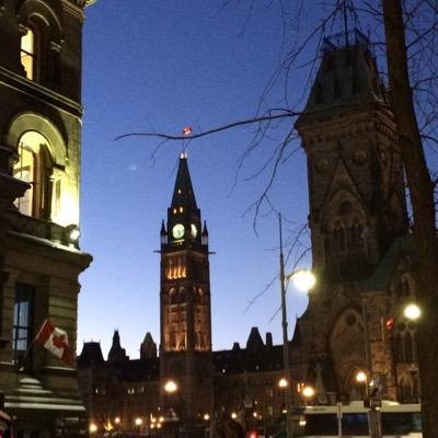 MASheehy's profile picture. 