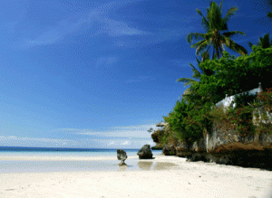 CebuShores's profile picture. 