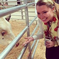 Sarah Holley (@sarahlizholley) 's Twitter Profile