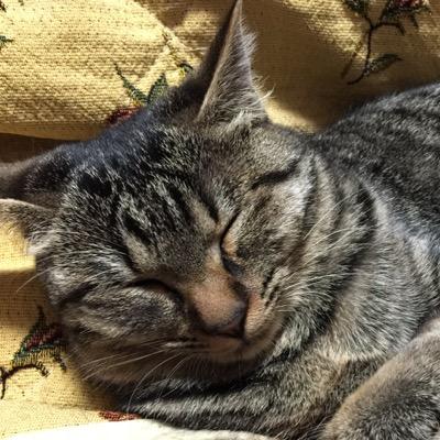 gabisan's profile picture. ゴルフ好き。動物好き。音楽大好き。こういうものでつながってゆく人との関係や思い出は、モノやお金と違って棺桶の中に持って行けますね。と、人生の折り返し地点を過ぎて思っています。