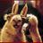 CosmicoPepino's profile image