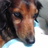 sayo_mac's profile image