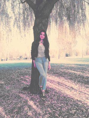 ~ ankara...