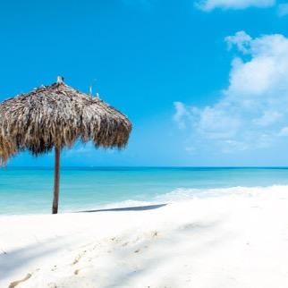 cazzy668's profile picture. Living the Dream