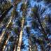 Pratt Nature Center (@prattnature) Twitter profile photo Pratt Nature Center (@prattnature) Twitter profile photo