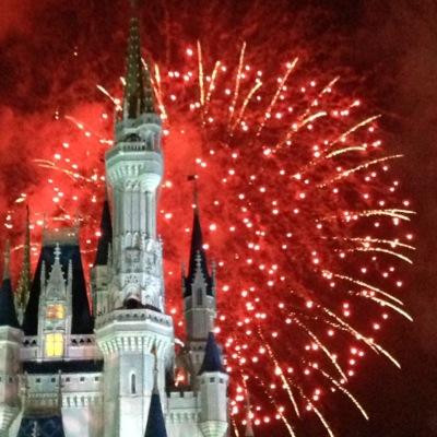 armygrrlie's profile picture. Orthopedic physical therapist, former Army officer, coach's wife and proud sports mom!