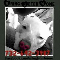 Bring Jeter Home (@bringjeterhome) 's Twitter Profile