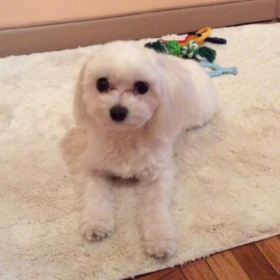 williamahao's profile picture. I swim, play tennis and piano, and I also take taekwondo lessons.