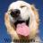 jaml7229's profile image