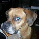 Jon Belcher - @belcher_jon - Twitter