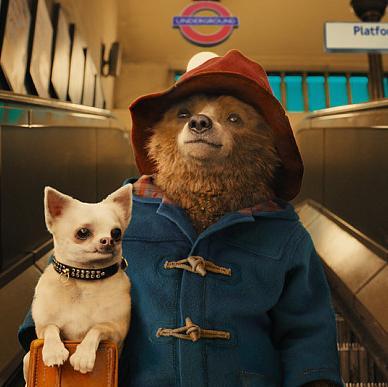 Names Paddington. All I wanted was a home, and I finally found one! || OUAT || Multiverse || RP