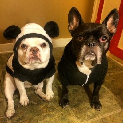 StephenLooker's profile picture. That there,that's not me. I go where I please