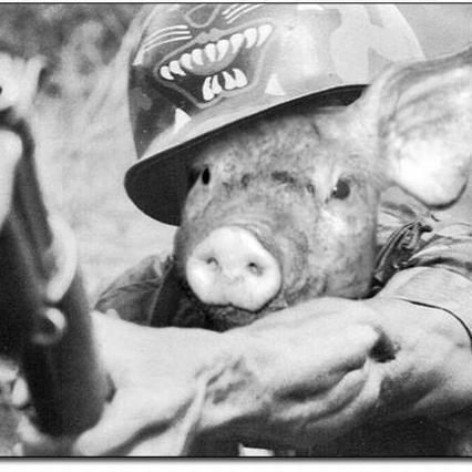 warpigs774's profile picture. 