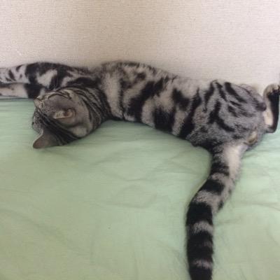 東江35→ほくのぅ→どこだろぅ^^;
とりあえず、いまを楽しむ^o^
生活科〜（＾◇＾）