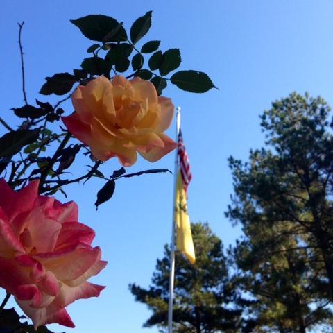 Msearp_99's profile picture. 