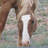 bicaranger's profile image