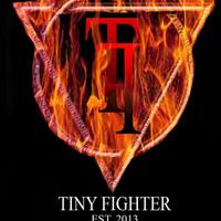 Tiny Fighter (@tinyfightersby) 's Twitter Profile