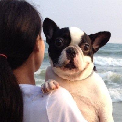 tkbaloom's profile picture. Bacon is our God because bacon is real. 🥓