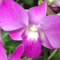 valerie koontz (@vjkoontz) Twitter profile photo