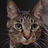 r_a_y_s's profile image
