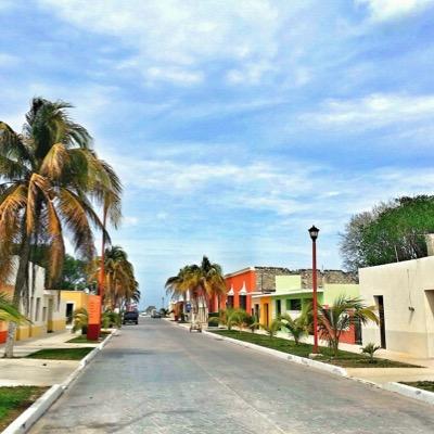 gcisnerosb's profile picture. 