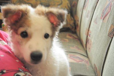 nondescript_13's profile picture. 