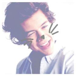 hi its @wickedharryx telling you how perfect and cute you are and how much you deserve your favs follow x