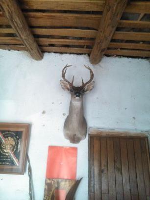 139059Tony's profile picture. 