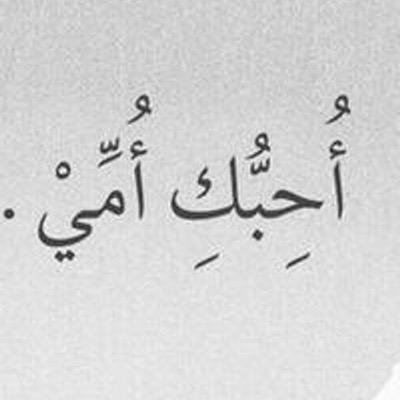 llbibo's profile picture. 