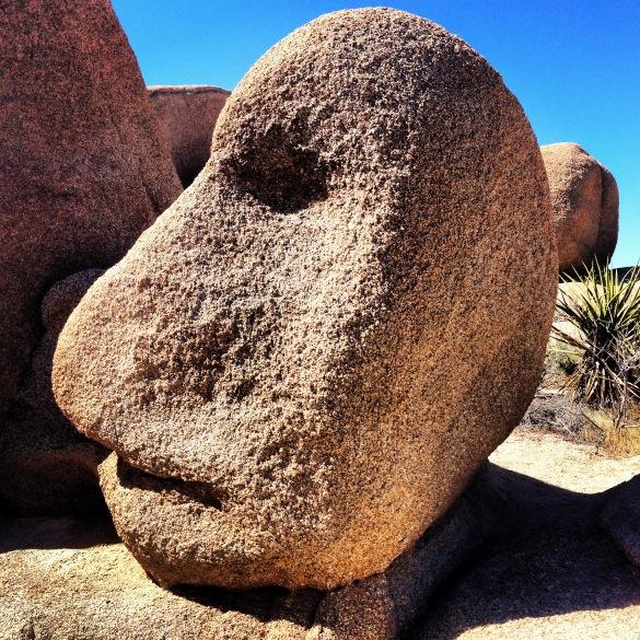 _FreeSouls_'s profile picture. 