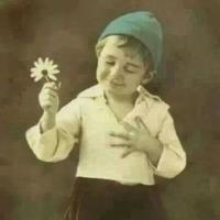 MEHMET ÜÇEL (@ucelnmehmet33) 's Twitter Profile