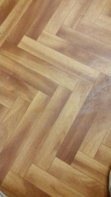 cvolodiya1's profile picture. 