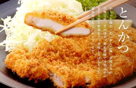 daiki0305's profile picture. 会計士/事業会社勤務