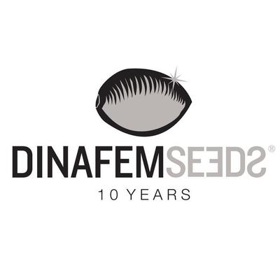 @DinafemFr