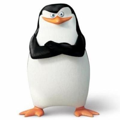 Name's Skipper! That's all you need to know... Egsattamente! Other informations are classified! So do not even ask.