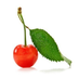 Claudio Cerasa (@claudiocerasa) Twitter profile photo Claudio Cerasa (@claudiocerasa) Twitter profile photo