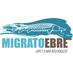 Life Migratoebre (@migratoebre) Twitter profile photo Life Migratoebre (@migratoebre) Twitter profile photo