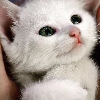 camulogened27's profile picture. Directeur Banque Luxembourg