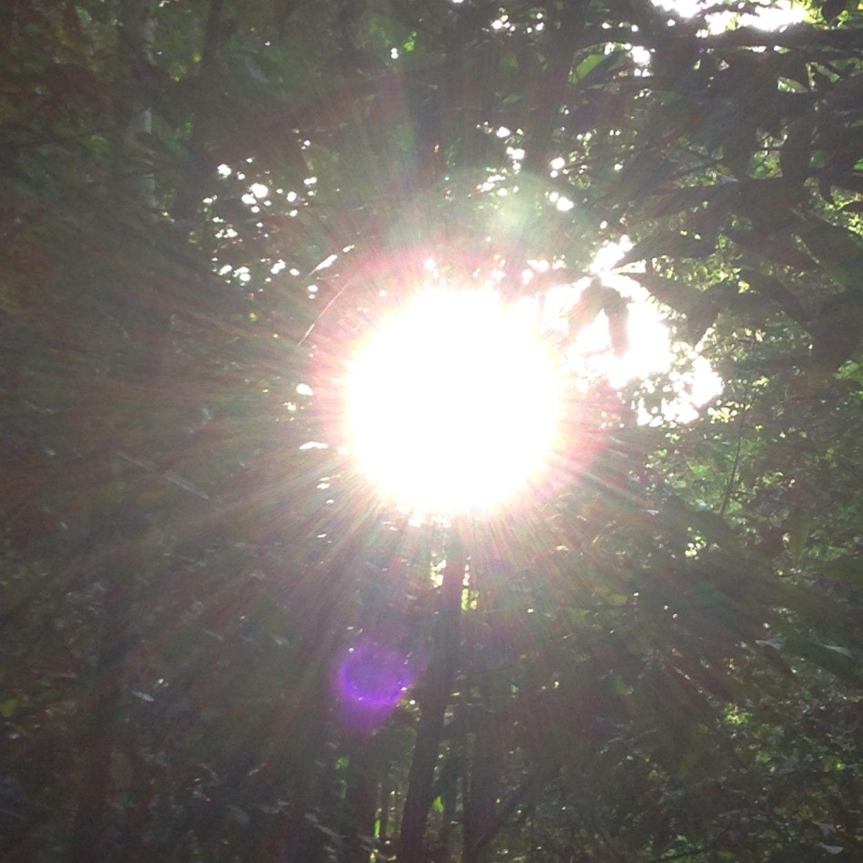 OnSurreyHealing's profile picture. Reporting & RT Healing Events/News happening in and around Surrey! Reiki, Yoga, Energy Healing, Spirituality. Tweet your event here! Also #SurreyHealingEvents