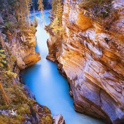 nknhdmt31's profile picture. 