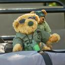 Anna Laney - @Bimble101 - Twitter