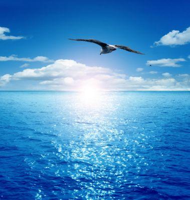 REHAMALHARBI00's profile picture. 