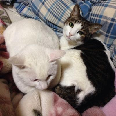 みーさんのプロフィール画像